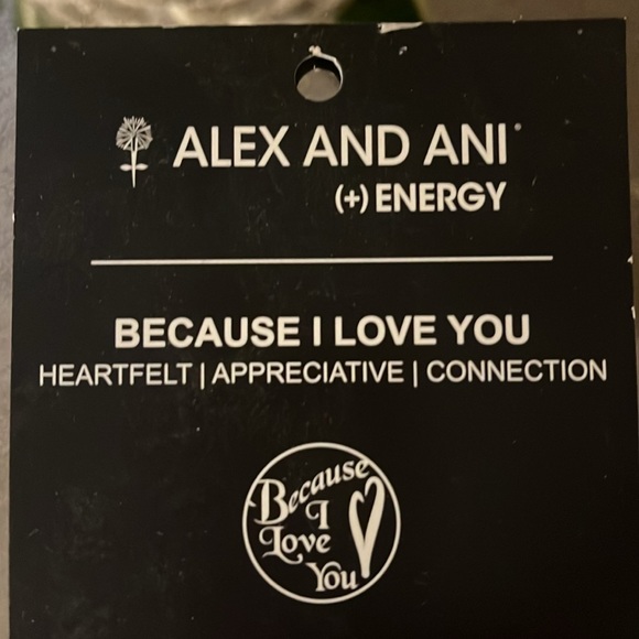 Alex and Ani Energy Braclet - Picture 3 of 6